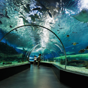Dubai Aquarium and Underwater Zoo
