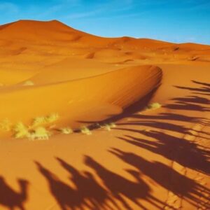 Jeddah Desert Safari