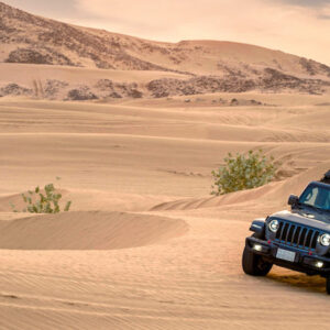 Riyadh VIP Desert Safari