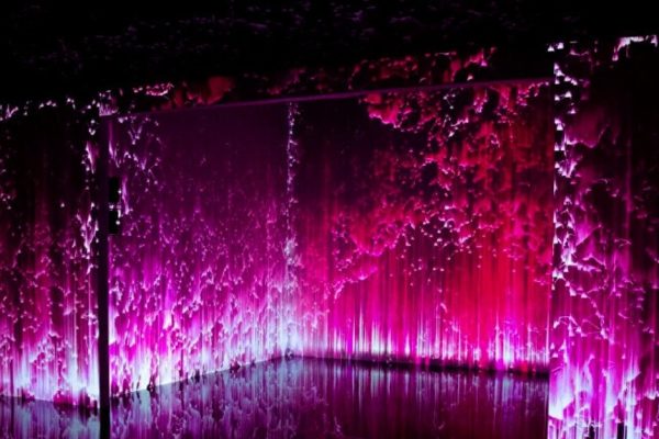 TODA – Digital Art Show 4