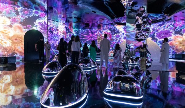 cd22ec4f-f050-4230-97dd-fca07385994a